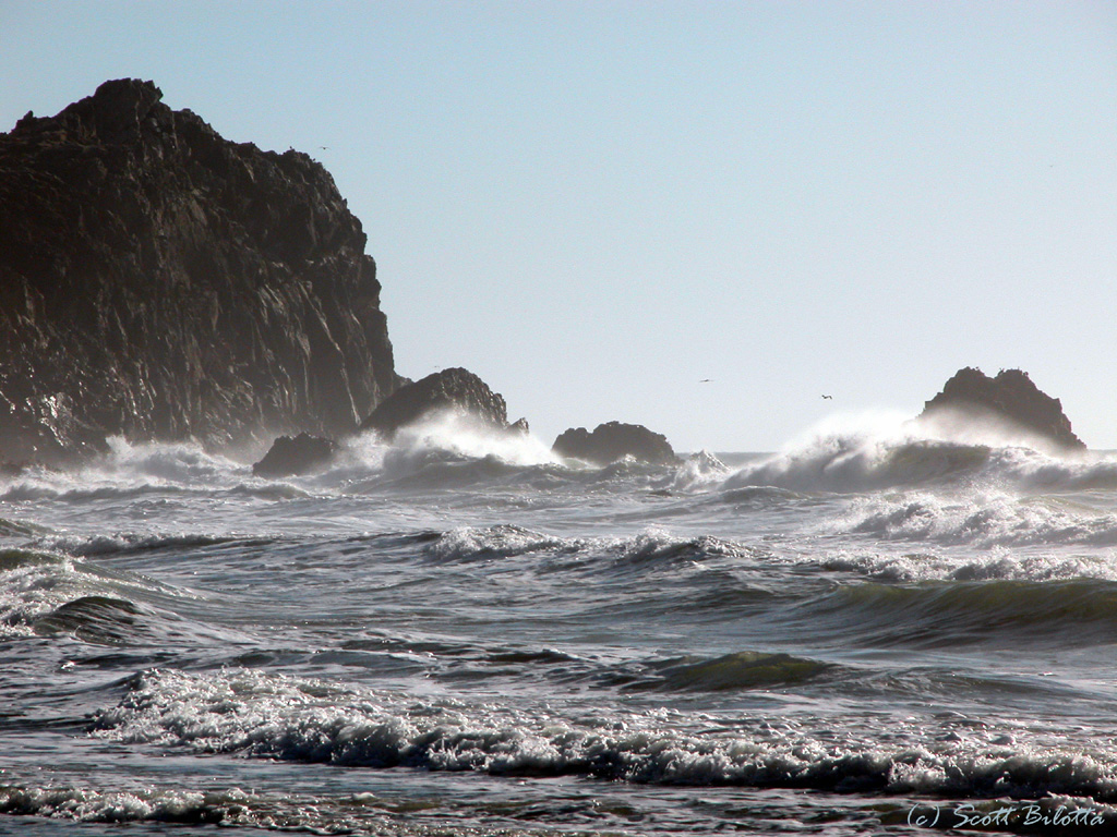 point reyes surf
