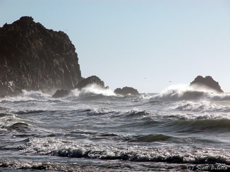 point reyes surf
